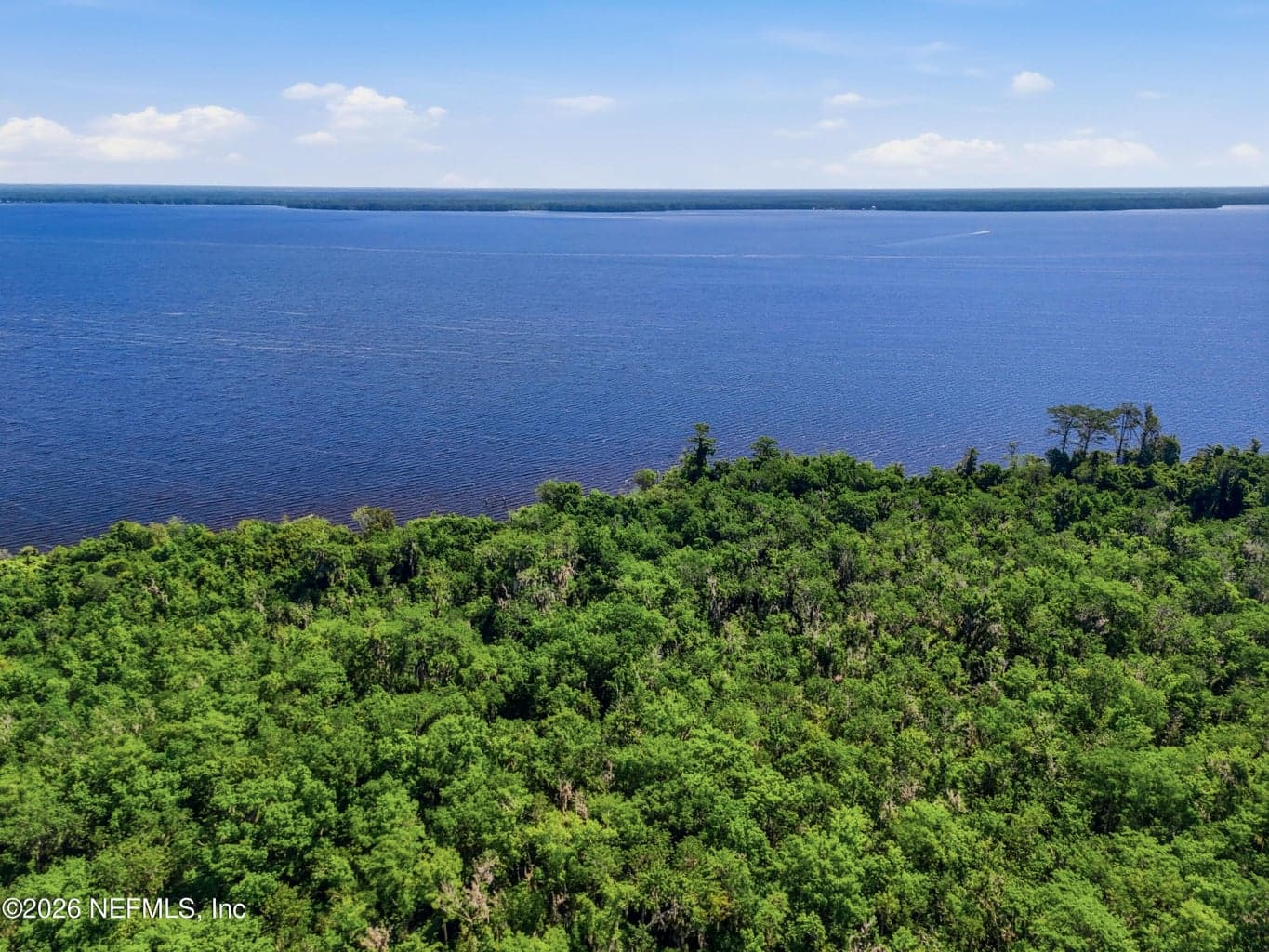 6005 COUNTY RD 209 S, Green Cove Springs, FL 32043