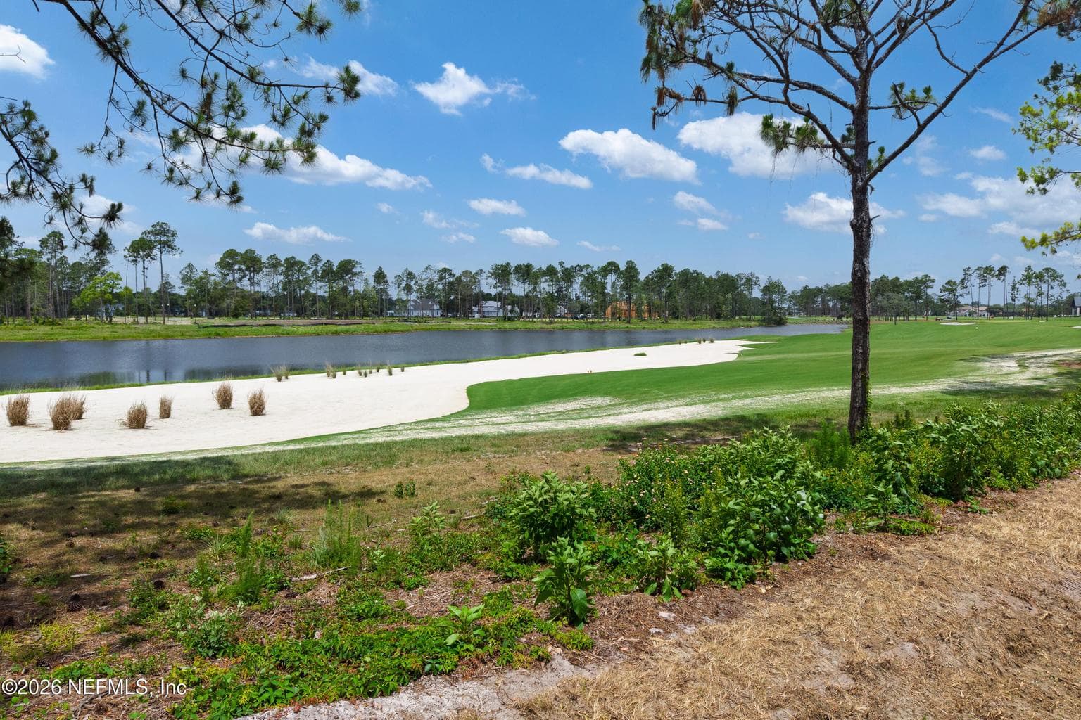 4510 FEATHER MOSS Court, Jacksonville, FL 32224, Jacksonville, FL - photo 1