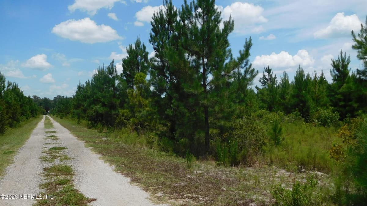 56585 DAVIS Road, Callahan, FL 32011, Callahan, FL - photo 2