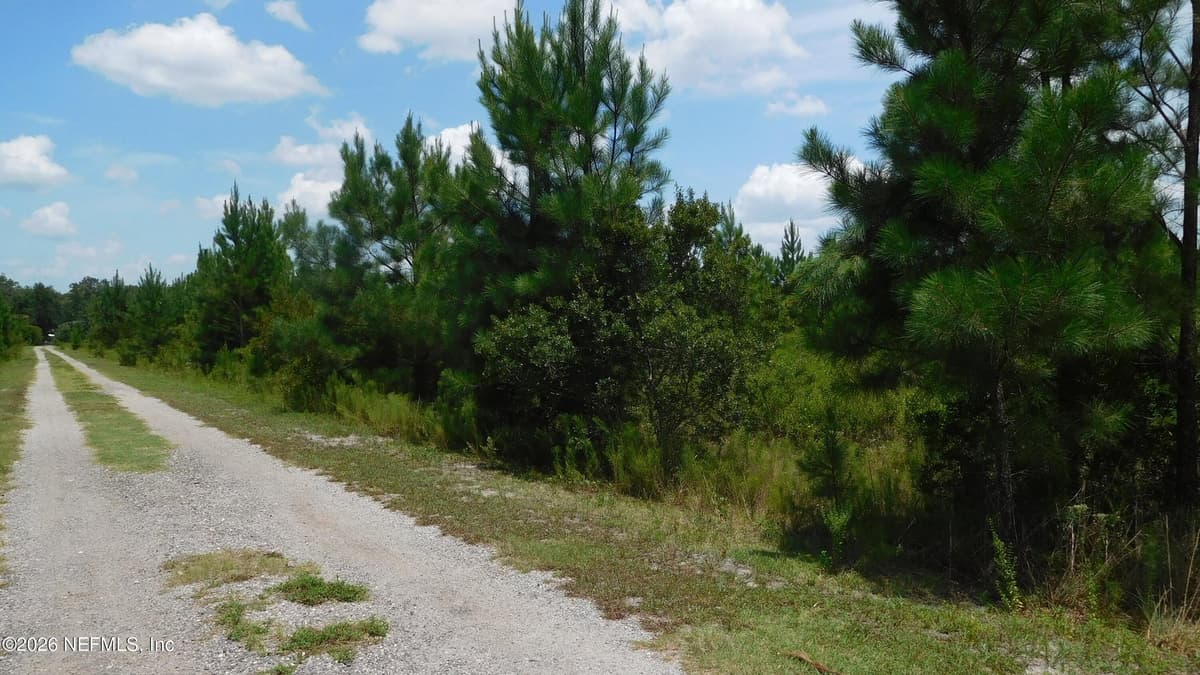56585 DAVIS Road, Callahan, FL 32011, Callahan, FL - photo 3