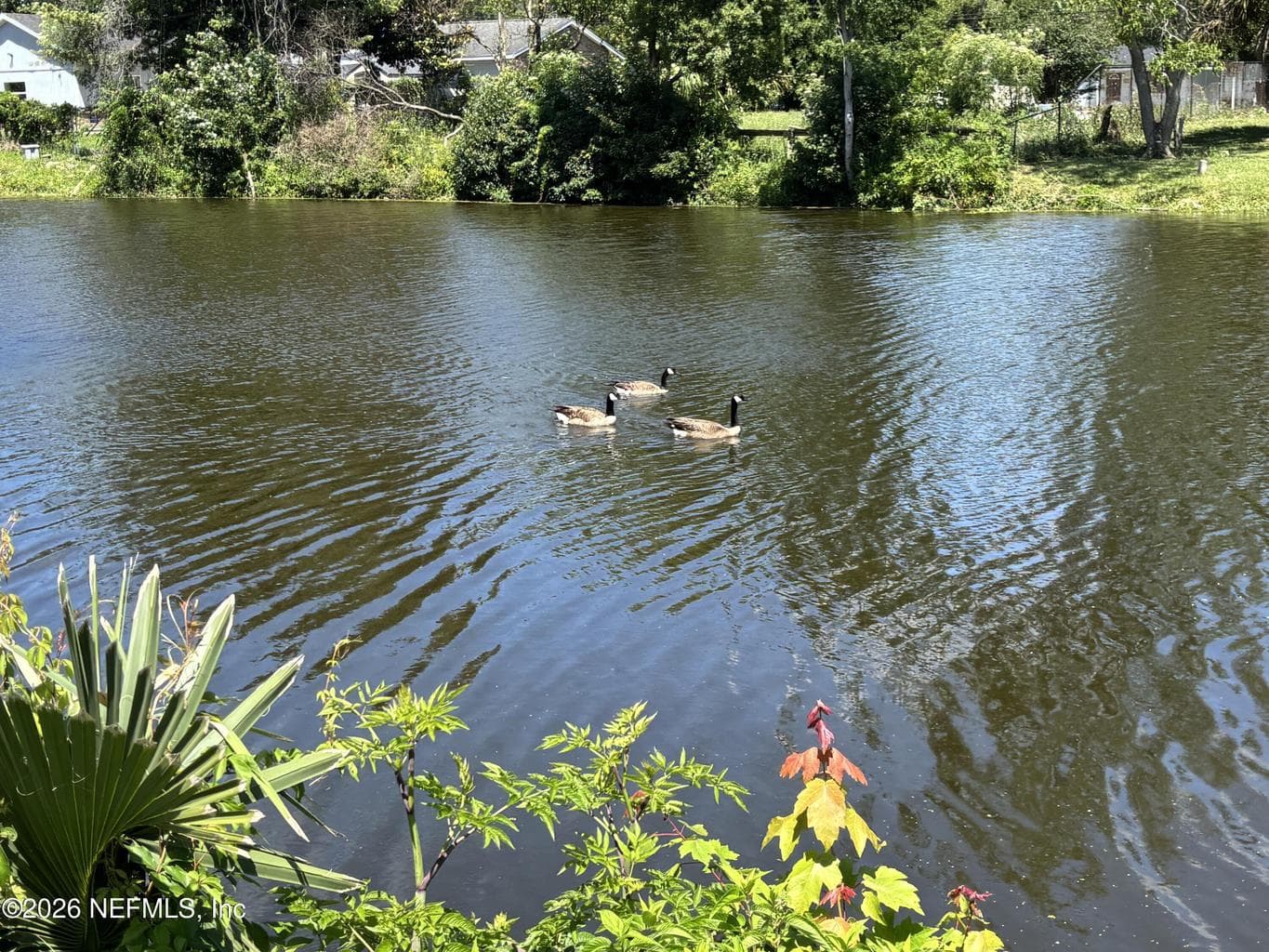2071 COURTNEY Drive, Jacksonville, FL 32208